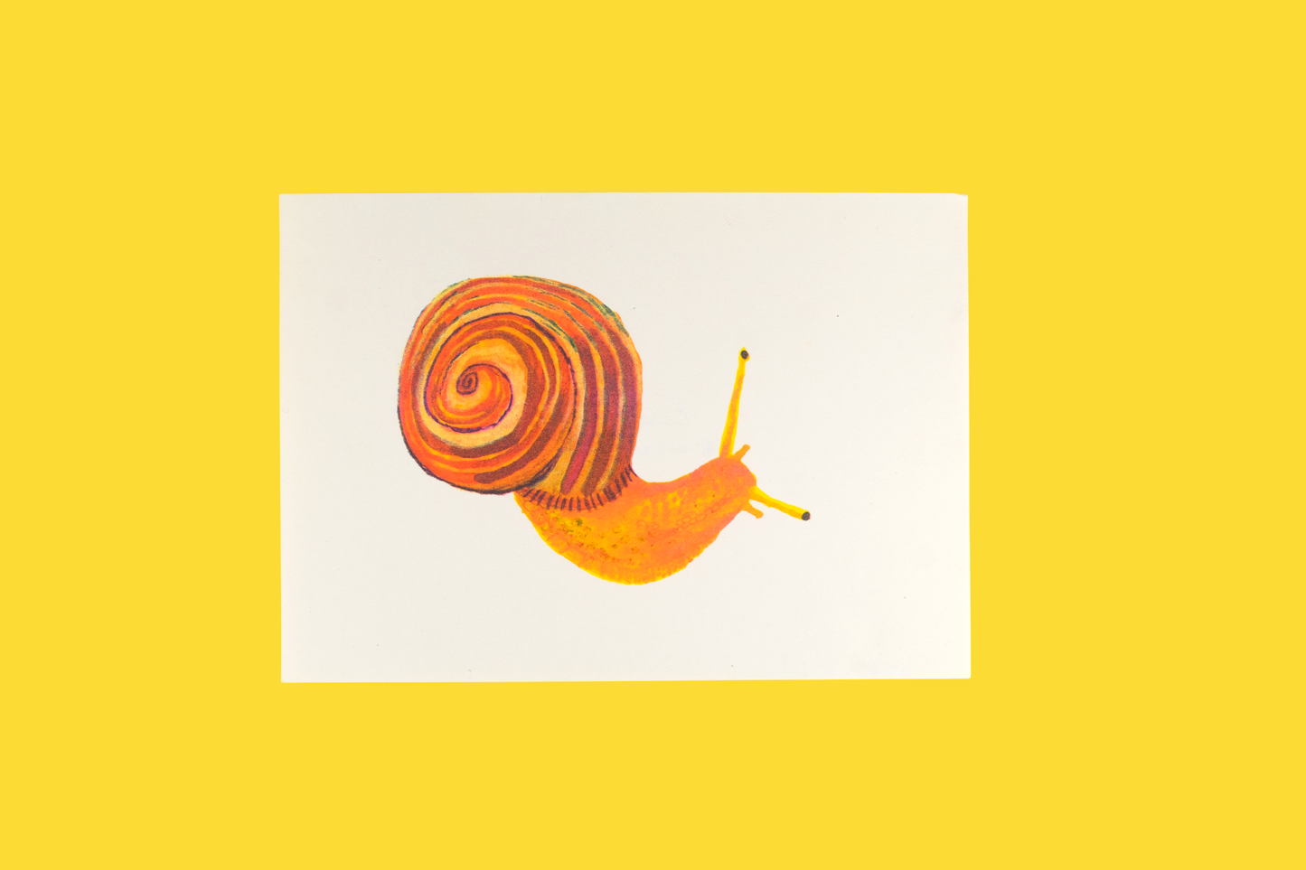 Snail Riso Print