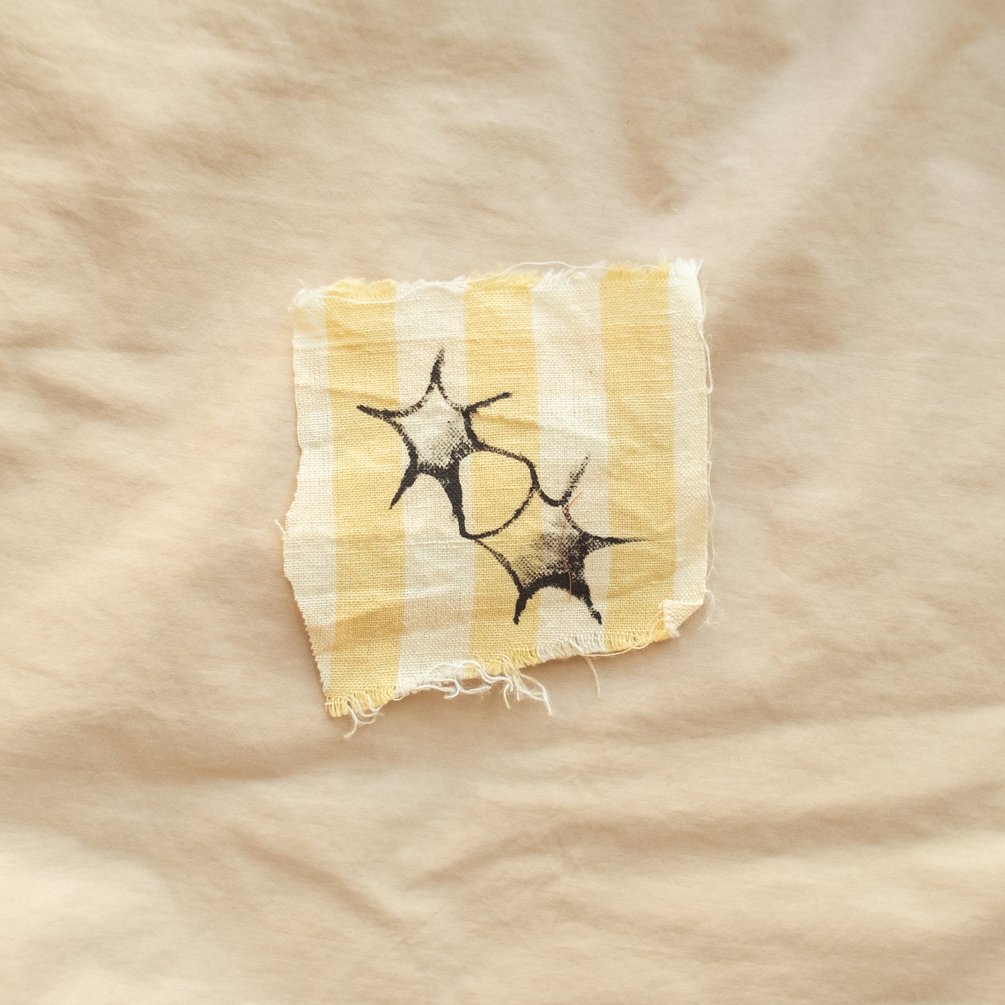 Painted Starry Patches