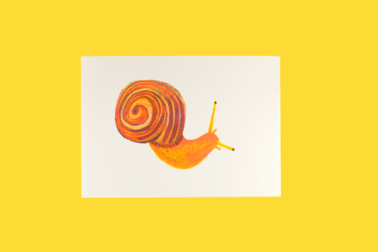 Snail Riso Print