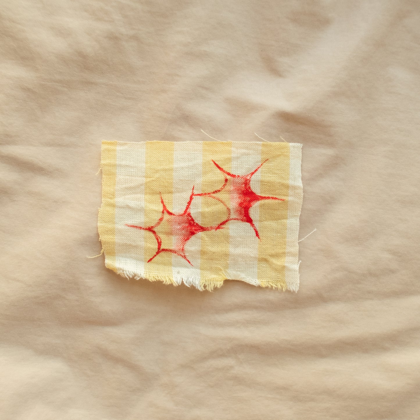 Painted Starry Patches