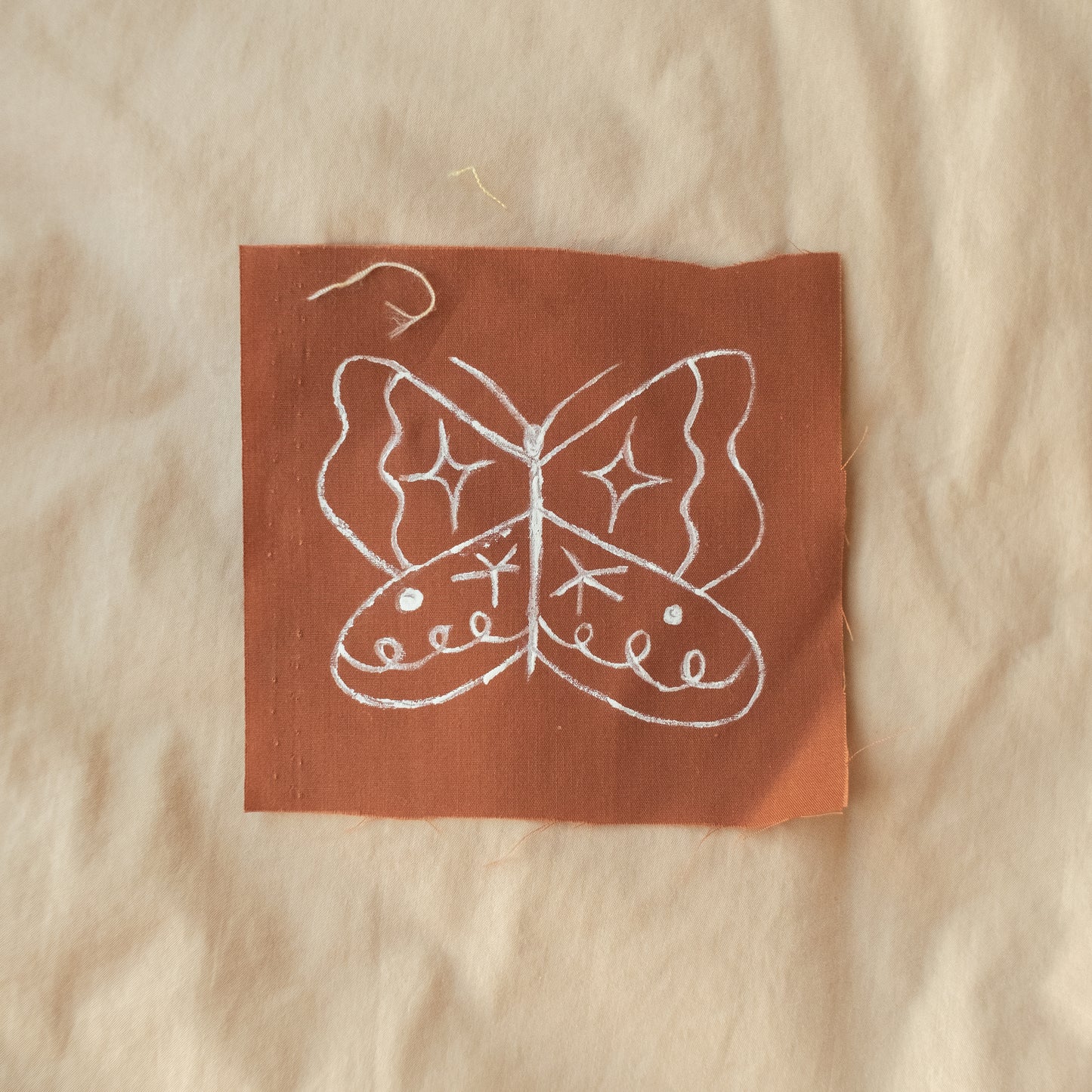 Painted Butterfly/Insect Patches