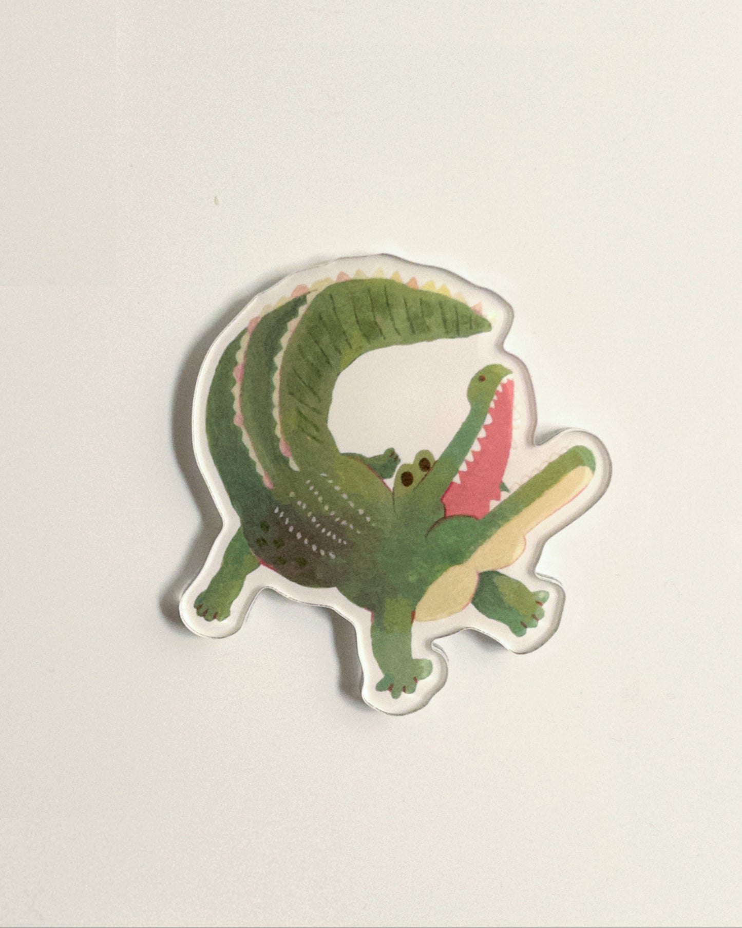 Crocodile magnet