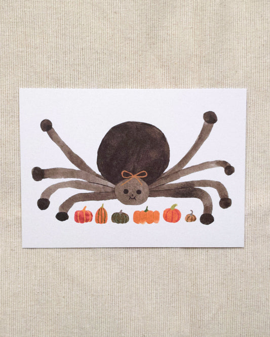 Spider Postcard